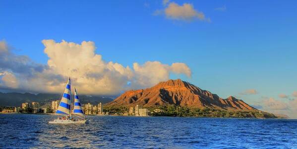 Sailboat Art Print featuring the photograph Waikiki Cruising by Brian Governale