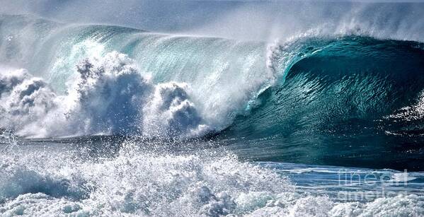 Wave Art Print featuring the photograph Wave of Beauty  Hawaii by Debra Banks