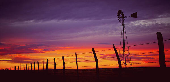 West Texas Art Print featuring the photograph West Texas Sunset by Adam Reinhart