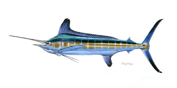 White Marlin Art Print featuring the painting White Marlin by Carey Chen