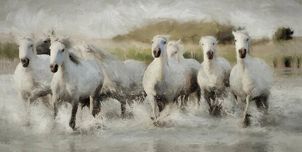 Horse Art Print featuring the photograph Wild White Horses of the Camargue I by Karen Lynch