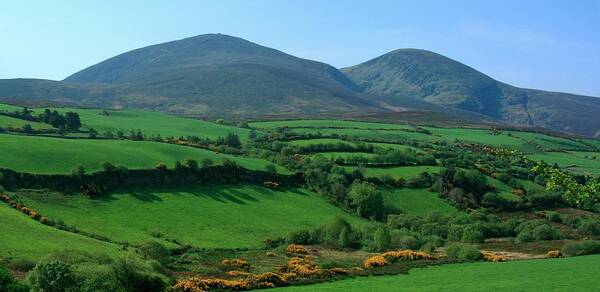 Scenics Art Print featuring the photograph Rathmore, Paps Of Anu, County Kerry #1 by Design Pics/peter Zoeller
