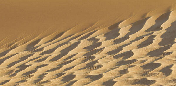 Panoramic Art Print featuring the photograph Artistic Sand Dune by Werner Van Steen