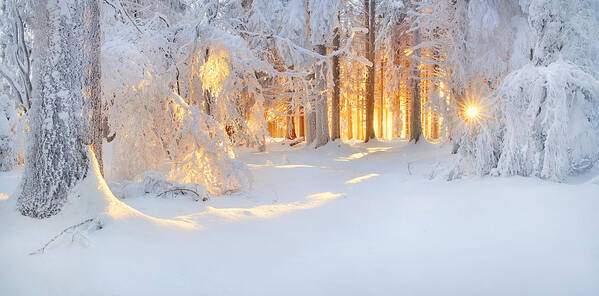 Winter Art Print featuring the photograph Bright Spots by Burger Jochen