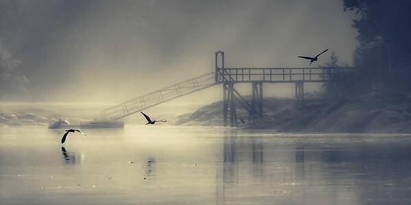 Dock Art Print featuring the photograph Dock On The Bay by Jon Ehrmann