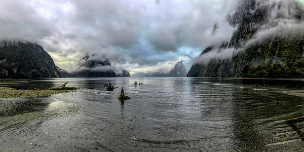 Olena Art Art Print featuring the photograph Fiord Milford Sound New Zealand South Island by OLena Art by OLena Art by Lena Owens - Vibrant DESIGN