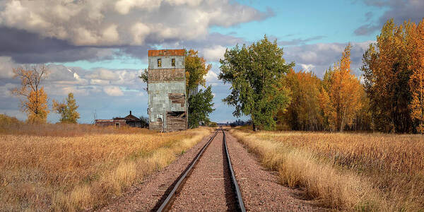 Ghost Town Art Print featuring the photograph Looking Down The Tracks At Josephine by Harriet Feagin