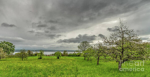 Lake-constance Art Print featuring the photograph Spring on Lake Constance by Bernd Laeschke