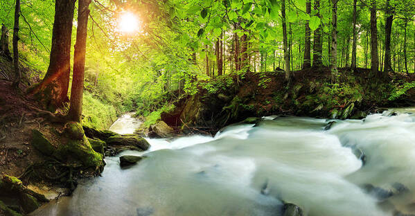Spray Art Print featuring the photograph Stream Flowing Through The Woods by Konradlew