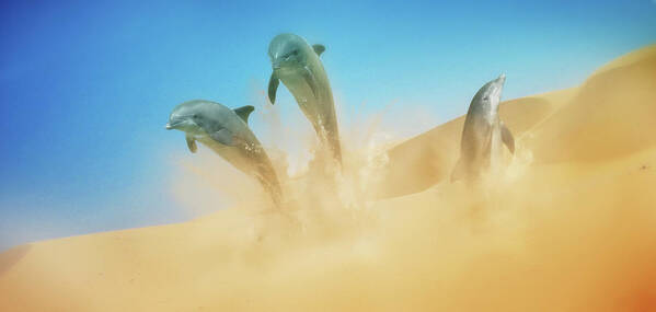 Dolphins Art Print featuring the digital art Art - Sandy Ocean by Matthias Zegveld