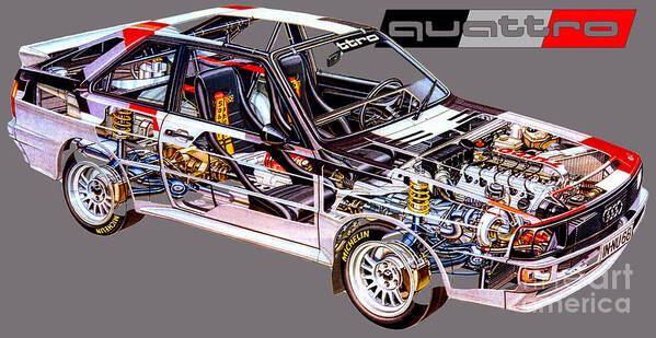 Audi Quattro 1984.Cutaway automotive art Art Print by Vladyslav
