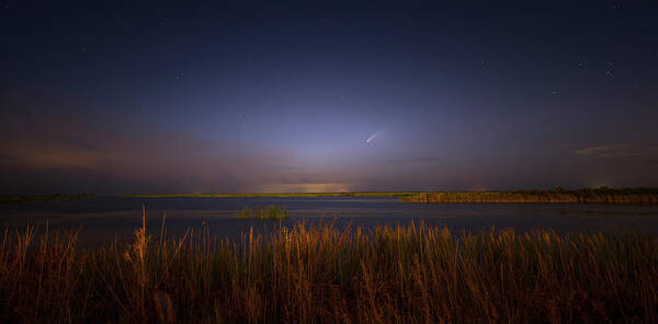 Comet Art Print featuring the photograph Comet in the Everglades by Mark Andrew Thomas