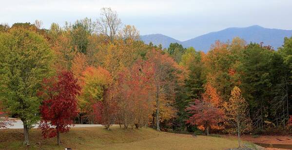 Fairgrounds Hiwassee Art Print featuring the photograph Fairgrounds - Hiwassee GA by Jerry Battle