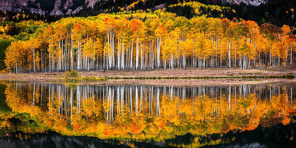 Fall Colors Art Print featuring the photograph Fall n Colors by Ryan Smith