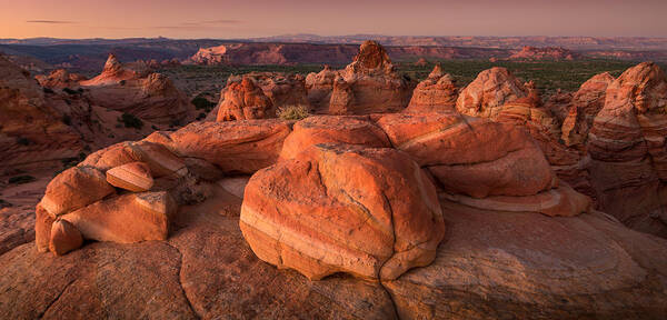 South Coyote Buttes Art Print featuring the photograph Goblins by Peter Boehringer