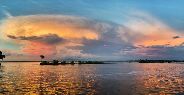 Sunscape Art Print featuring the photograph Golden Thunder by Randall Allen