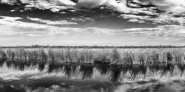 Big Cypress National Preserve Art Print featuring the photograph Grassland Big Cypress by Rudy Wilms