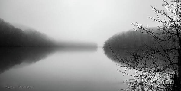 Black And White Art Print featuring the photograph Lake In The Mist by Theresa D Williams