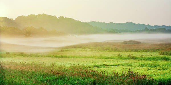 Landscape Art Print featuring the photograph Mist Transit by Robert Mintzes