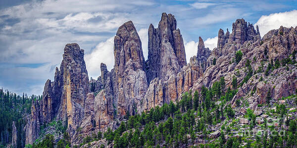 Custer State Park Art Print featuring the photograph On the Needles Highway by Nick Zelinsky Jr
