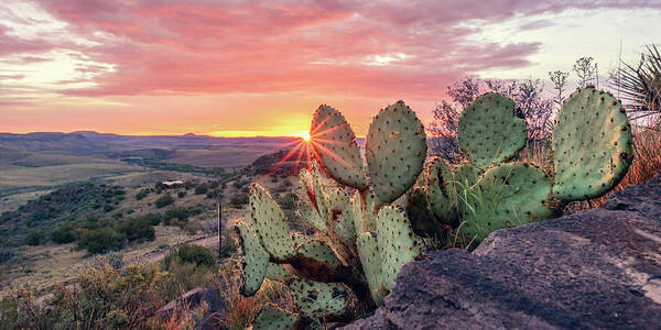 Prickly Pear Art Print featuring the photograph Overlook by Slow Fuse Photography