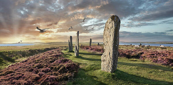 Ring Of Brodgar Art Print featuring the photograph Ancient Stone - Photo of The Ring of Brodgar Stone Circle, Orkney by Paul E Williams