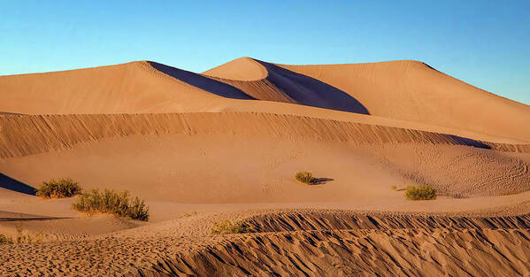 Mesquite Dunes Art Print featuring the photograph Sand Dunes by Rebecca Herranen