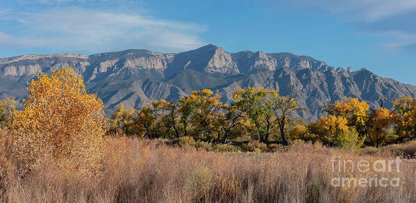 Landscape Art Print featuring the photograph Sandia Afternoon by Seth Betterly