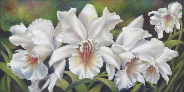 Oil Painting Portrait Of The White Cattleya Orchid In Close Detail With A Background Of Greenery. Inspiration Comes From The American Orchid Society In Delray Beach Art Print featuring the painting Sensual White Orchids by Nancy Tilles