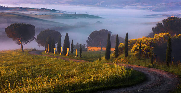 Italy Art Print featuring the photograph Val d'Orcia by Evgeni Dinev