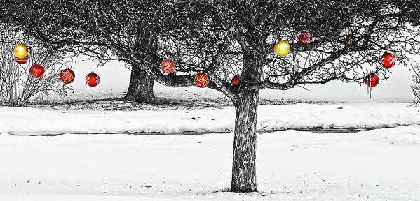 Christmas Art Print featuring the photograph Winter fruits by Tatiana Travelways