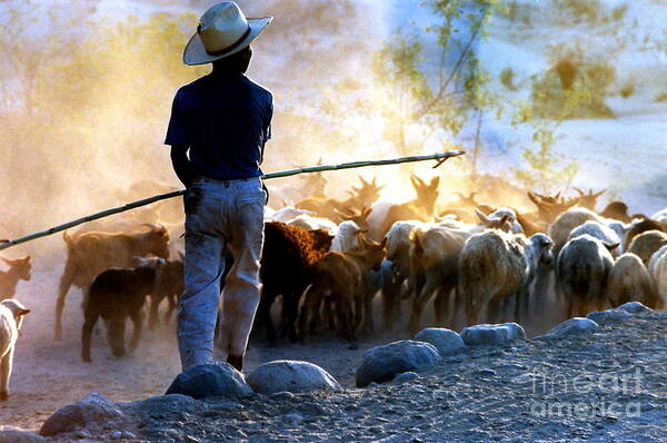 Rocks Art Print featuring the photograph Herder Going Home in Mexico by Phyllis Kaltenbach