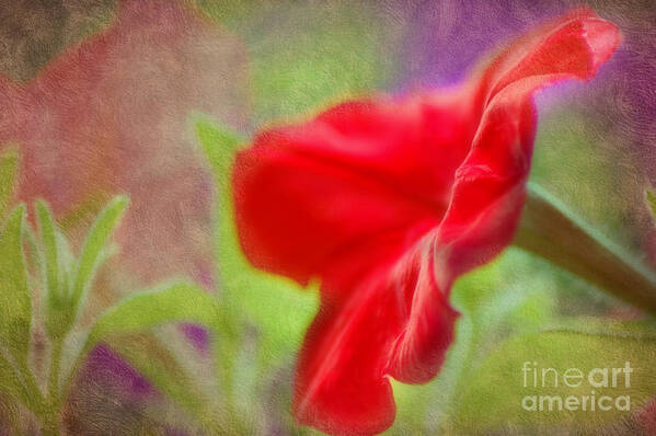 Macro Art Print featuring the photograph My Pretty Petunia by Peggy Franz