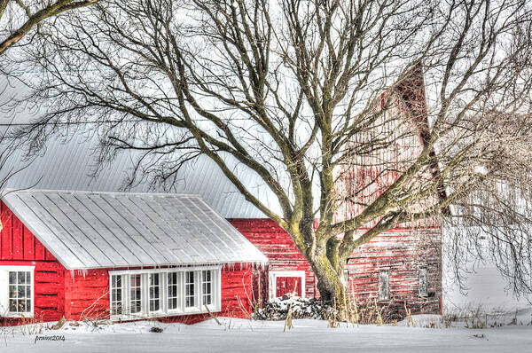 Barn Art Print featuring the photograph Oak Valley Farm by Patti Raine