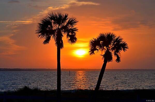 20120602 Art Print featuring the photograph 0602 Pair of Palms at Sunrise by Jeff at JSJ Photography