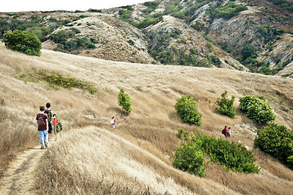 Adult Art Print featuring the photograph A Family Hikes Across Santa Cruz Island #1 by Kevin Steele