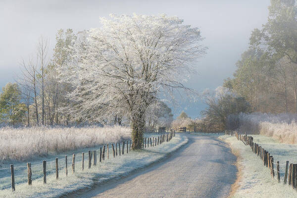 Cadescove Art Print featuring the photograph A Frosty Morning by Chris Moore