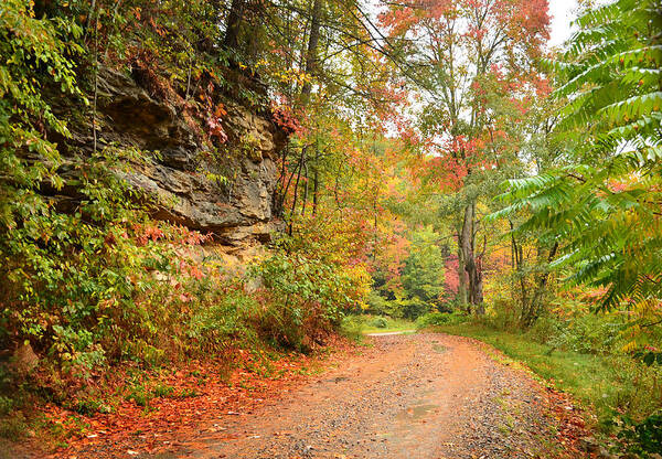 Fall Art Print featuring the photograph Almost Home by Lisa Lambert-Shank