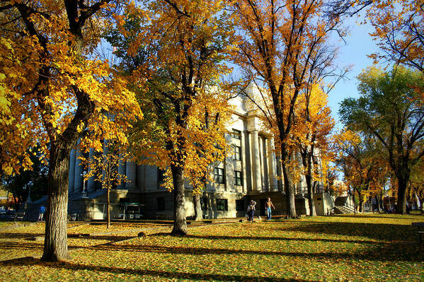 Granite Creek Art Print featuring the photograph Autumn at the Courthouse #1 by Aaron Burrows