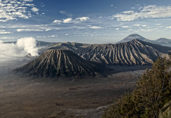 Miguel Art Print featuring the photograph Bromo Mountain #1 by Miguel Winterpacht