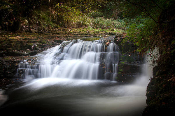 Autumn Art Print featuring the photograph Clare Glens #1 by Mark Callanan