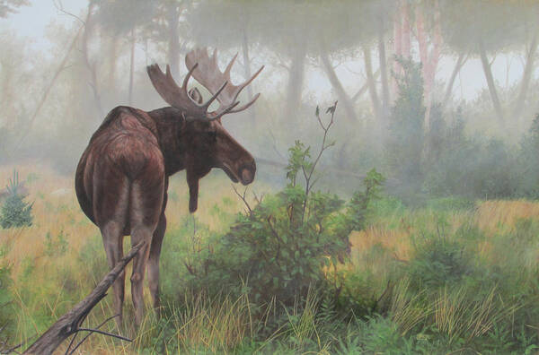 Moose Art Print featuring the painting Early Morning Mist by Tammy Taylor