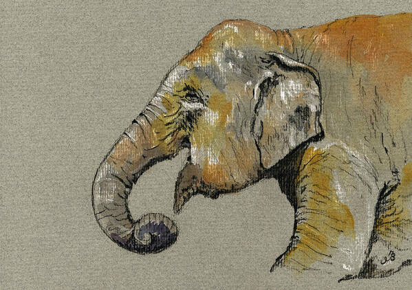 Elephant Art Print featuring the painting Elephant indian #1 by Juan Bosco