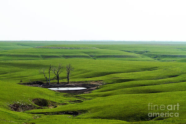 Kansas Flint Hills; Flint Hills; Spring In The Flint Hills; As Far As The Eye Can See; Flint Hills In Velvet; Kansas Landscape; Wide Open Spaces; Kansas Prairie; Prairie; Last Of The Original Tallgrass Prairie; What A View; Flint Hills Post Burn; After The Spring Burns; Vegetation Renewed; Spring Renewal; Landscape Curves; Curves; On The Horizon; Uncrowded Places Art Print featuring the photograph Flint Hills Spring #2 by Betty Morgan