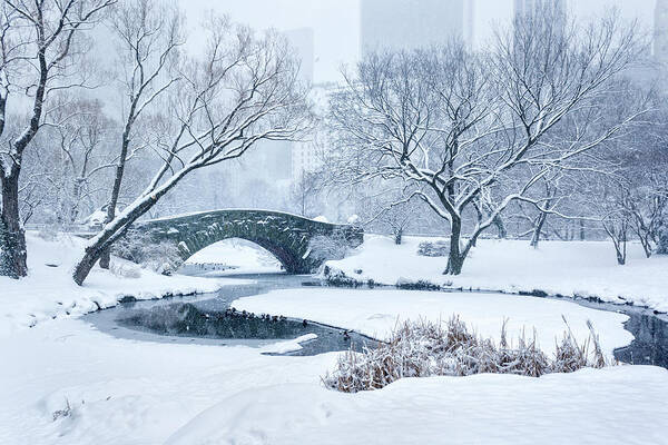 Snow Art Print featuring the photograph Gapstow Bridge Central Park Snowstorm #1 by Matejphoto