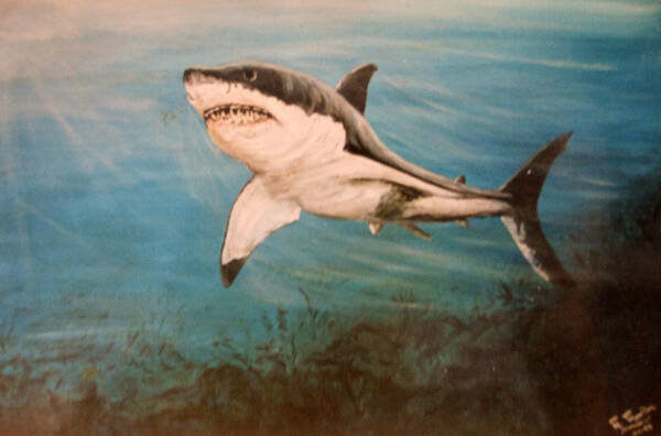 Shark Art Print featuring the painting Great White Shark #2 by Mackenzie Moulton