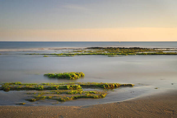 Water Art Print featuring the photograph Green coast #1 by Guido Montanes Castillo