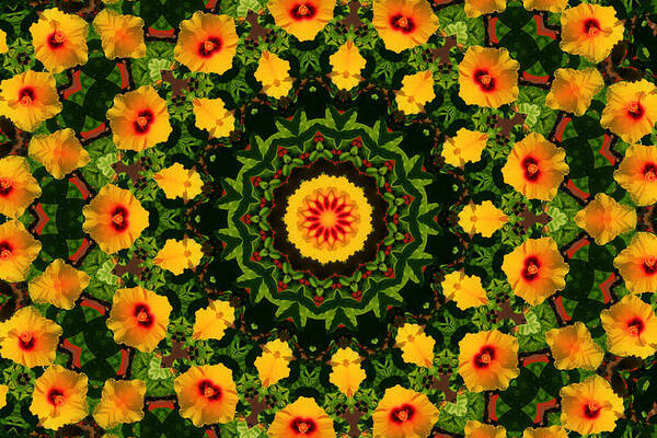Hibiscus Art Print featuring the photograph Hibiscus Kaleidoscope by Bill Barber