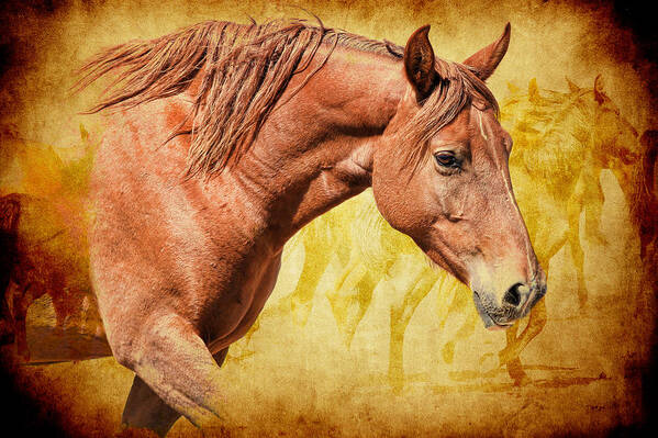 Wild Horses Art Print featuring the photograph Horses #2 by Steve McKinzie