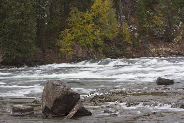 Nature Art Print featuring the photograph LeHardy Rapids #1 by Gerry Sibell